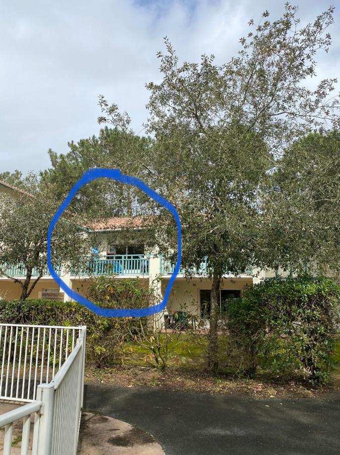 Appartement 3 Pieces, 6 Perso Avec Piscine Chauffee En Saison Domaine Du Golf De Pinsolle Soustons Exteriér fotografie